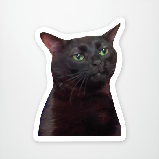 Zoned Out Cat Sticker Pack of 12 units ($2.25 each)
