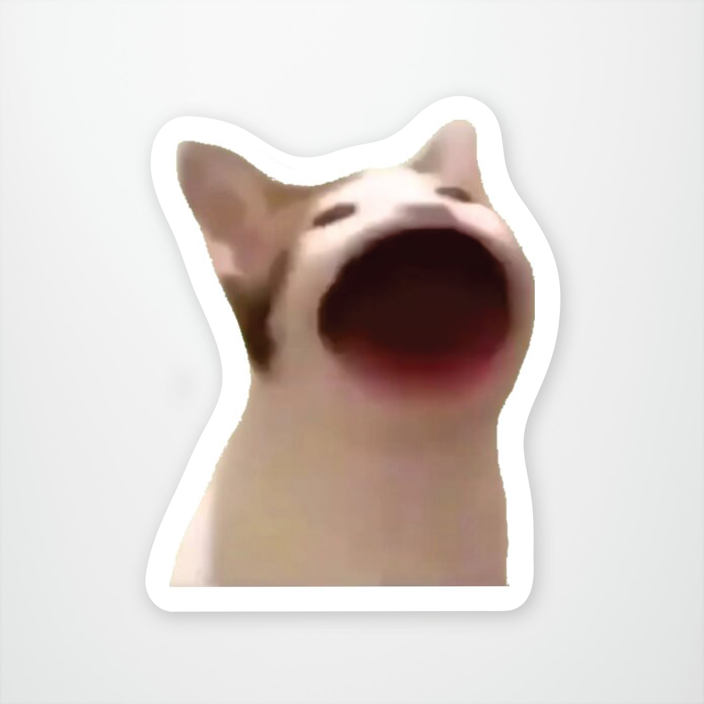 Bop Cat Meme