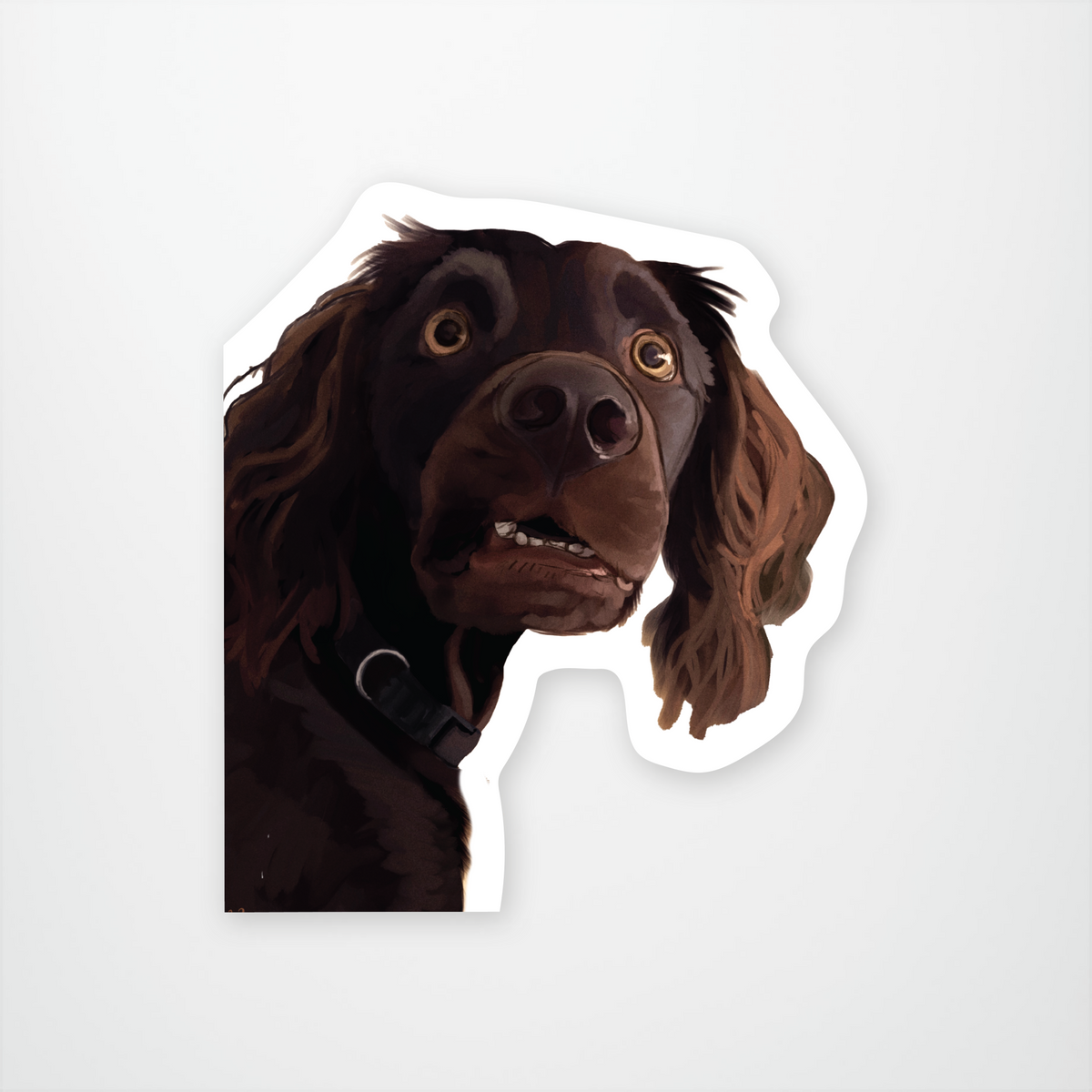 Confused Dog
