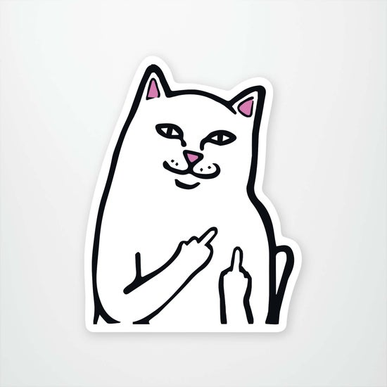 Rip N Dip Cat