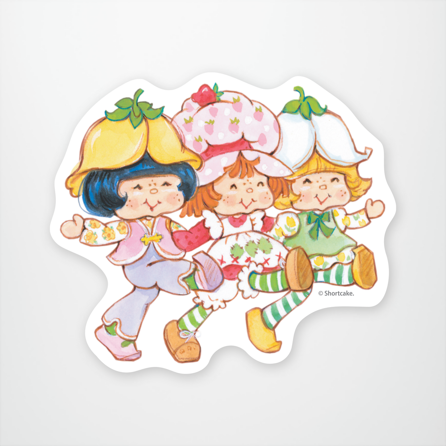 Strawberry Shortcake and Friends Sticker Pack of 12 units