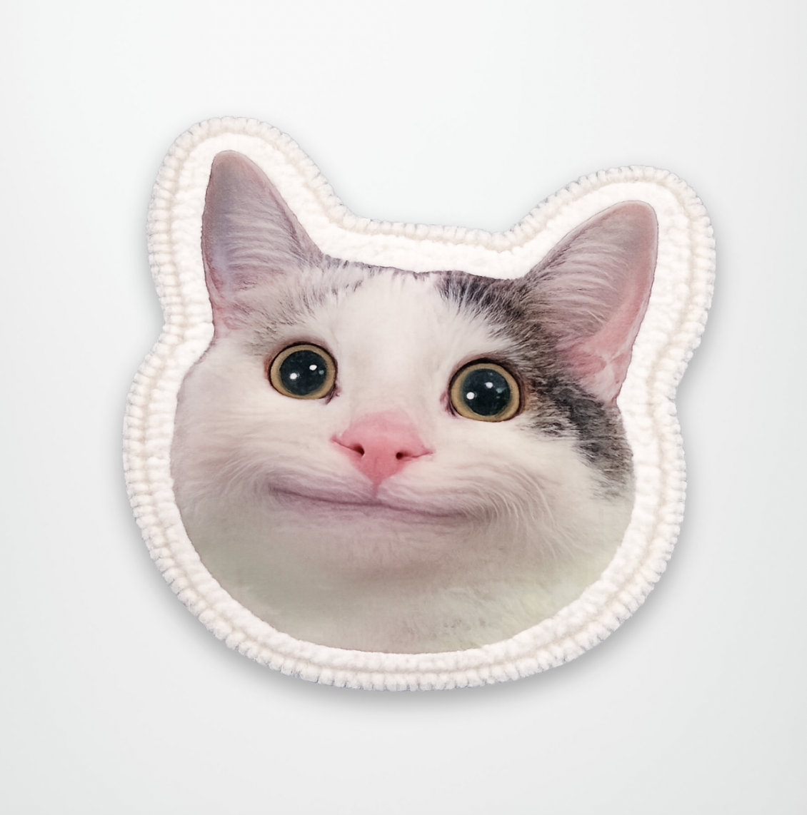 Beluga Cat