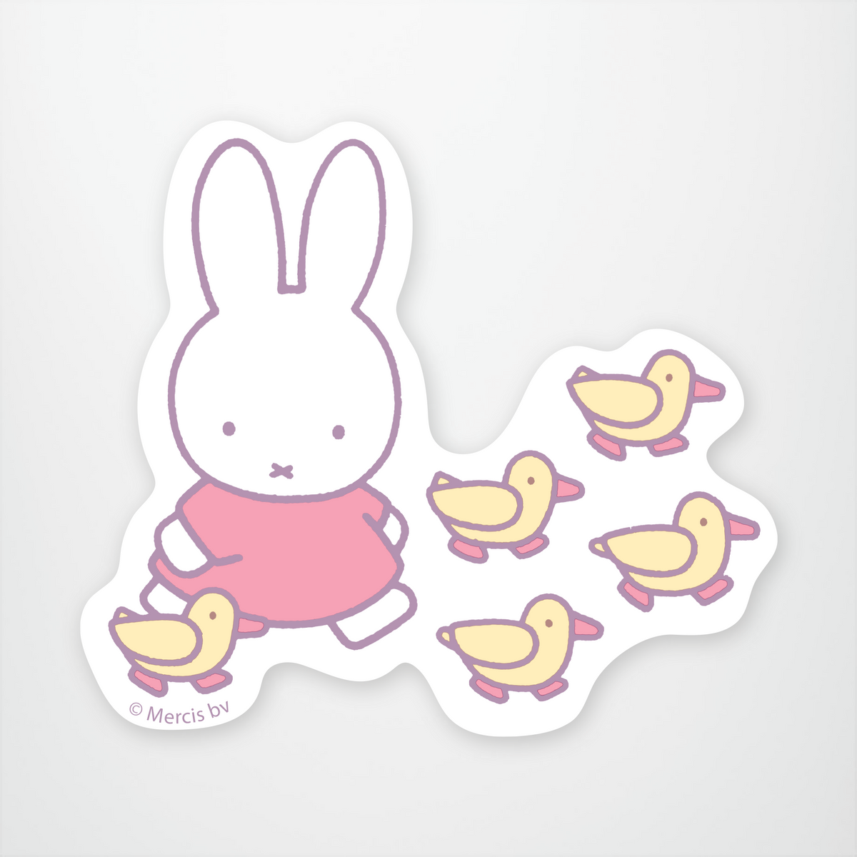 Miffy Ducks