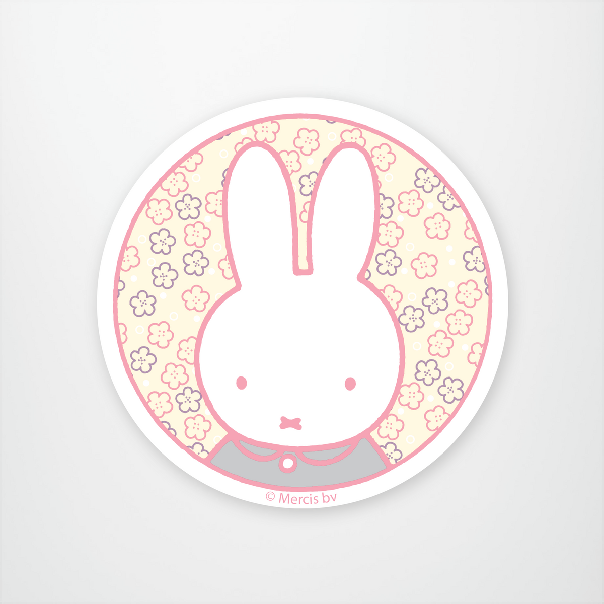 Miffy Pastel Circle