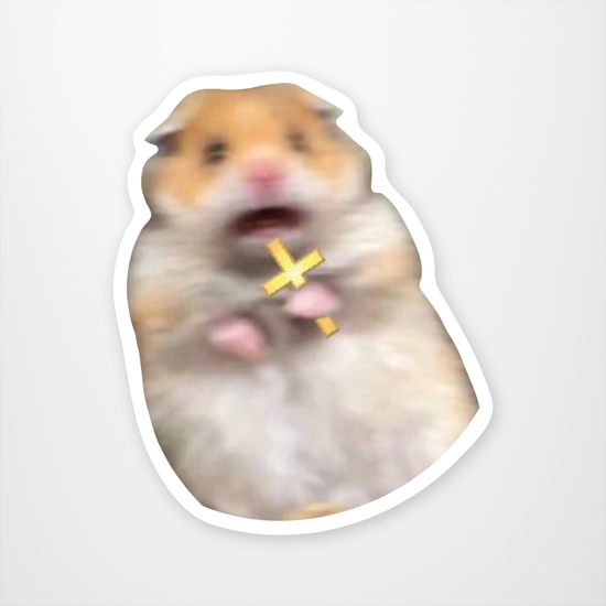 Scared Hamster