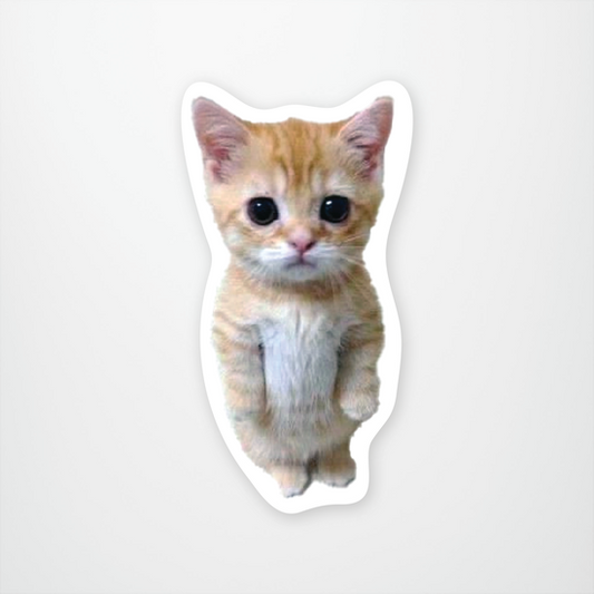Standing Kitty Meme Sticker Pack of 12 units ($2.25 each)