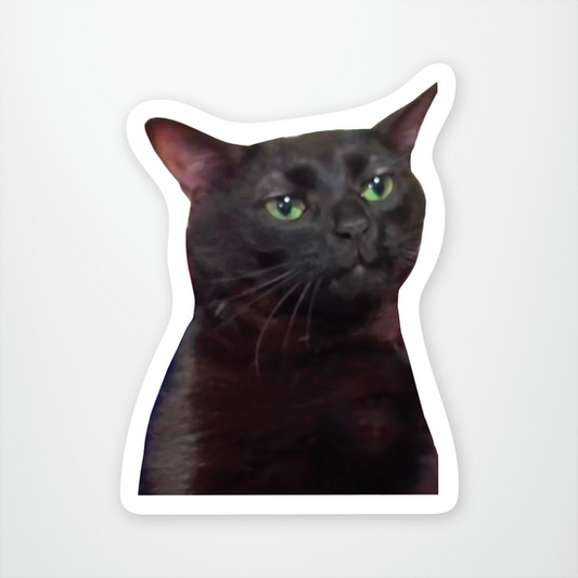 Zoned Out Cat Sticker Pack of 12 units ($2.25 each)