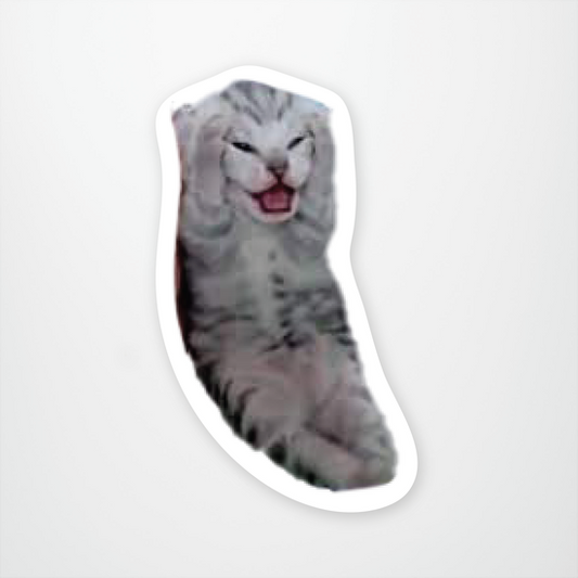 Existential Crisis Kitty Sticker Pack of 12 units ($2.25 each)