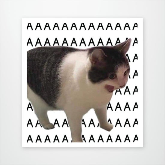 Chat AAA