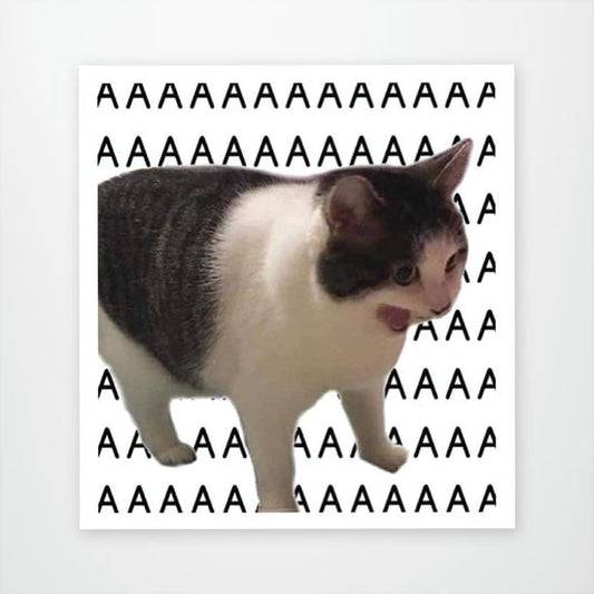 AAA Cat