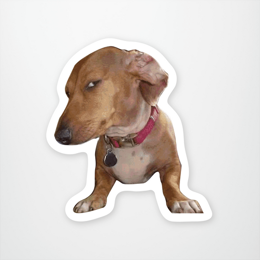 Side Eye Dog Sticker Pack of 12 units ($2.25 each)