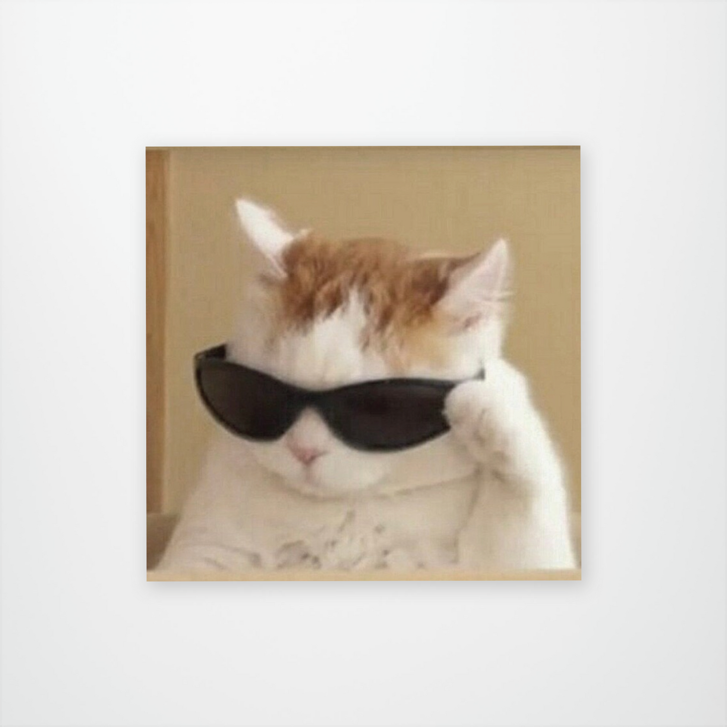 Sunglasses Cat Sticker Pack of 12 units