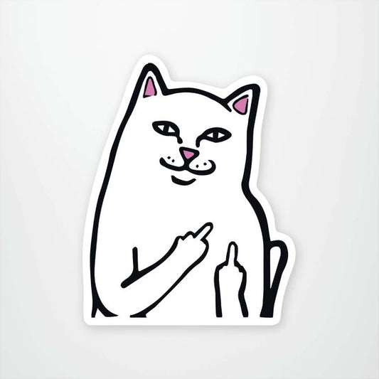 Rip N Dip Cat