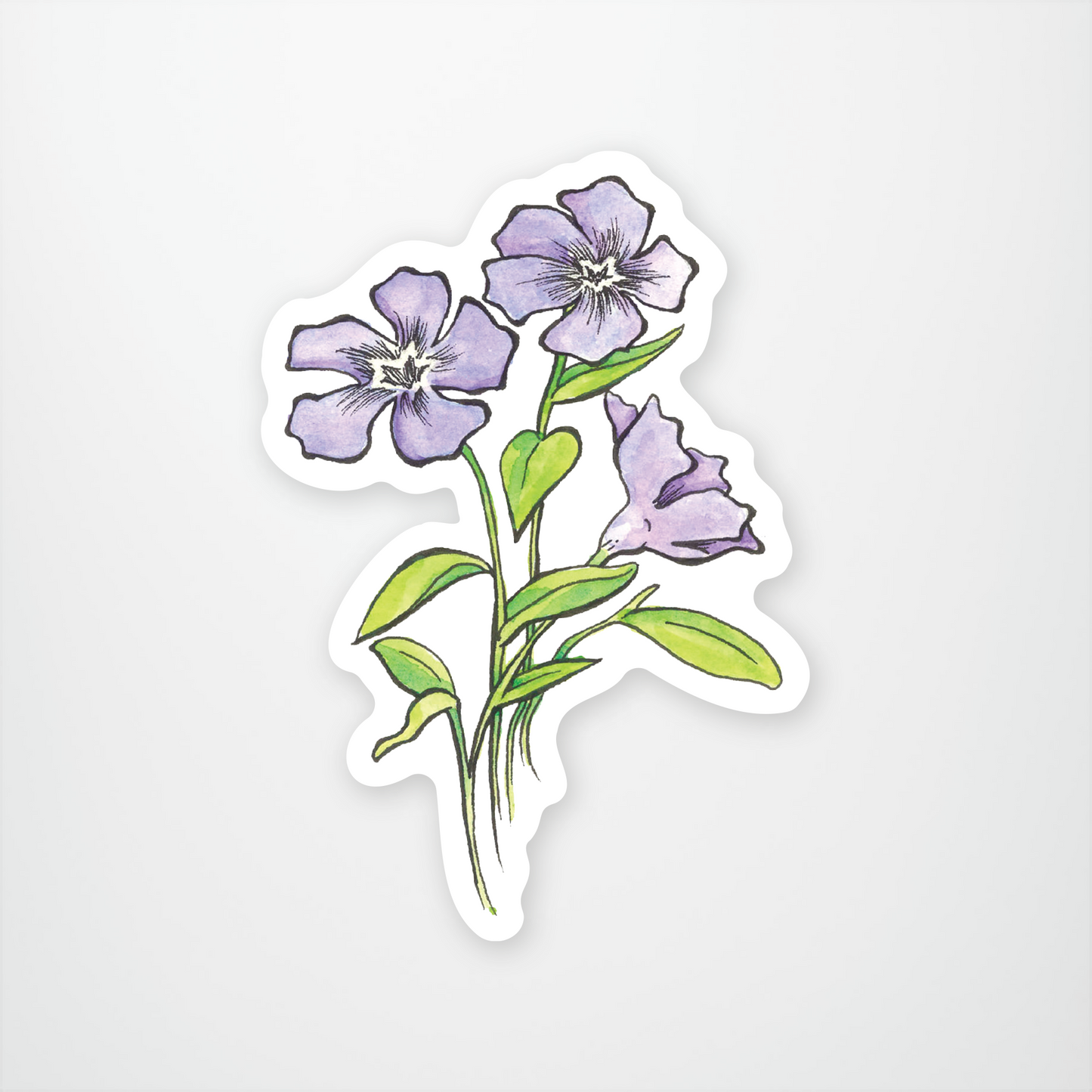 Periwinkle Sticker Pack of 12 units