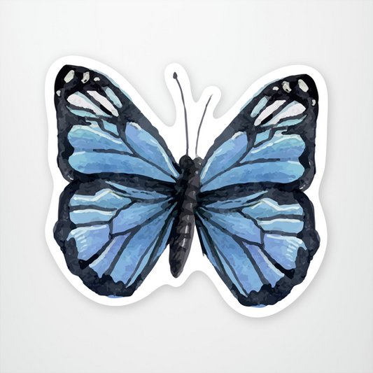 Blue Monarch Butterfly