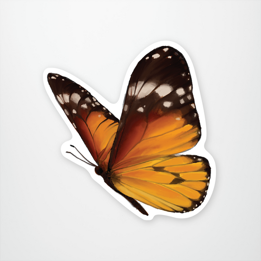 Plain Tiger Butterfly