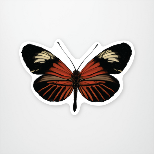 Postman Butterfly