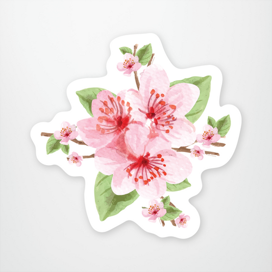Cherry Blossom