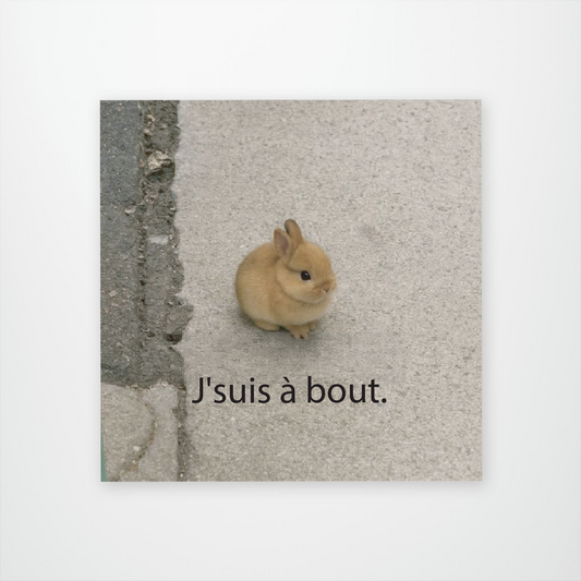 Je Suis A Bout