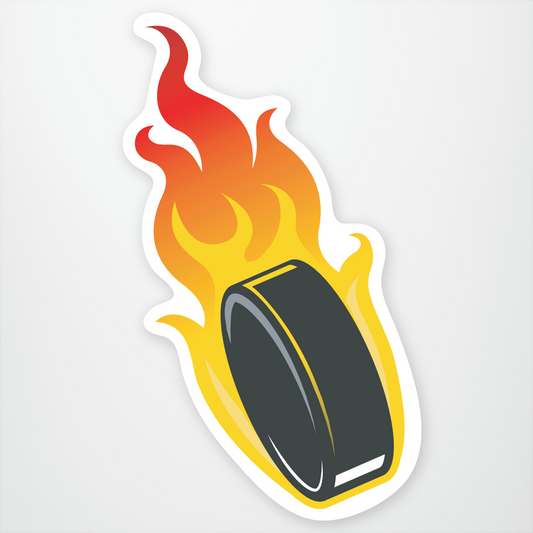 Hockey Puck