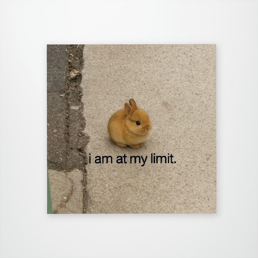 I Am At My Limit